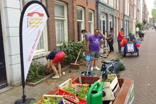 Groen activiteiten Wijkcentrum Jordaan & Gouden Reael