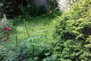 De groenploeg helpt in uw tuin