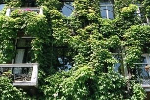 Waar zijn de fraaie groene gevels van Amsterdam?