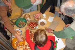 Groenmiddag Herfst in het Claverhuis op 12 oktober