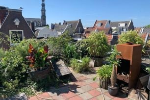 Open Tuinendag Jordaan 2026