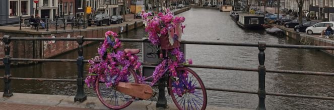 homepage Wijkcentrum Jordaan en Gouden Reael
