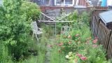 verwaarloosde tuin