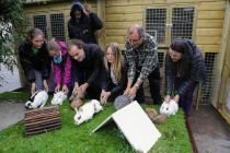 Kinderboerderijen in Amsterdam maken afspraken over dierenwelzijn