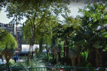 Groene avond wandeling langs de parels van de Gouden Reael
